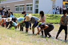 광주북초등학교, 생태교육 ‘모내기’ 실시