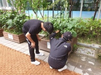 언제나 새봄처럼 늘 푸름 학교를 만들어요!