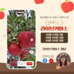 태백사과 ‘천상애’ 브랜드 마케팅 본격 추진