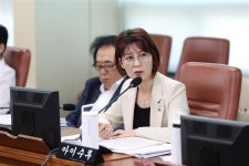 아이수루 시의원, 세종문화회관 대관심의회 구성 및 운영에 관한 사항, 재단의 규정 및 내규로 정하도록 조례 개정