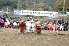 강원도무형문화재 제33호, 홍천겨리농경문화 공개행사 개최