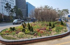 발길이 닿는 곳마다 꽃…영등포구, ‘공동체 정원’ 조성