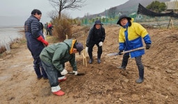 길상면 선두5리, 식목일 맞이 강화체리1호 식수