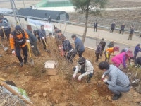 옹진군 북도면, 제79회 식목일 기념 나무심기 행사 실시