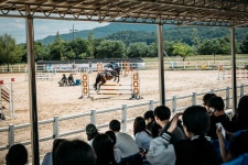 퇴역경주마들의 성공적인 변신 응원해, 제1회 퇴역경주마 승마대회 성료