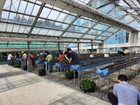 대구광역시농업기술센터, 스마트딸기 기초반 교육생 모집