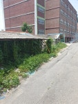 오남초등학교, 무단점유지 행정대집행으로 쾌적한 교육환경 구축 추진 오남초등학교, 무단점유지 행정대집행으로  쾌적한 교육환경 구축 추진