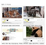 윤영희 시의원, “어린이대공원 수돌이 달순이, 너무 사랑스러워…랜선이모 위해 유튜브 강화 필요”