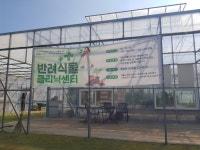 서초구, 집 앞까지 찾아가는 반려식물 클리닉 운영