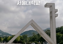 국회교육위원회 2024 국정감사(국립대학법인 서울대학교 등)
