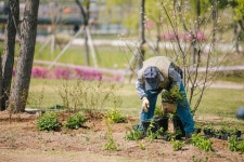 서울식물원, 정원 식재 디자인 전문가 양성과정 참여자 모집
