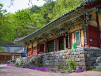 금산·청양 사찰 건축유산, ‘보물’ 승격