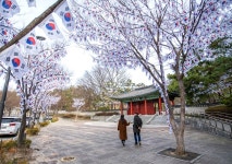 용산구, 제106주년 3.1절 기념 태극기 거리 조성