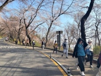 용산구 “봄따라 남산길 걷자”스탬프 투어 참여하세요! 용산구 “봄따라 남산길 걷자”스탬프 투어  참여하세요!