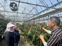 고흥군, 애플망고 재배 농가에 현장 기술지도 강화