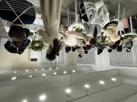 서초구, 1인가구 맞춤형 프로그램 ‘싱글싱글 문화교실’ 큰 호응