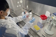 경기도, 강릉 아프리카돼지열병 역학농가 ‘전두 음성’ 판정 … 설 명절 앞두고 돼지고기 수급 안정 총력 대응