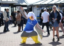 Brighton fans joined celebrate their clubs open top bus parade to mark promotion to the Premier League | The Irish Sun Brighton... 