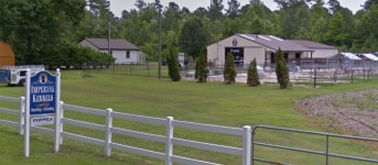 Kennel boss and his wife caught on camera having threesome with Doberman called Demon after cops raid home searching for guns... 