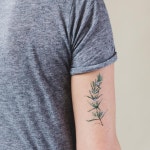 Scented tattoos which smell like herbs and flowers are the latest body art trend... but theres a big catch | The Irish Sun... 