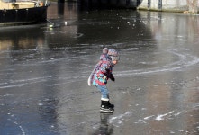 Kingfisher frozen in ice and families SKATE along Amsterdam’s canals as Europe is battered by freezing weather | The Irish Sun... 
