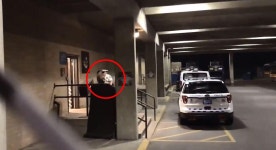 Dramatic bodycam footage shows Stormy Daniels arrest at US strip club for rubbing her boobs in cops face | The Irish Sun... 