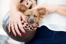 The 11 different types of mum at the school gates from vegan warrior to gym bunny… so which one are YOU? – The Scottish Sun... 