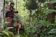 ‘Nora Quoirin’s family will be going through hell – I know what it’s like to search for a missing child abroad and I... 