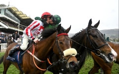 Losing jockey hailed for great sportsmanship after classy act to winner at Cheltenham Festival | The Sun Losing jockey hailed... 