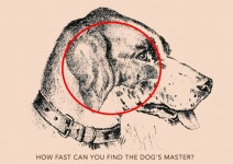 you find his master in just 11 seconds | The Irish Sun Everyone can see the panting dog - but can you find his master in just 11 secs