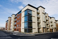 Cobra Effect of rent control in Ireland has a sting in the tail - the policy has created huge pool of losers | The Irish Sun... 