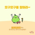 에이치투케이 | 더팀스 에이치투케이 by THE TEAMS