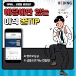(주)더라이징스타헤딩 | 더팀스 (주)더라이징스타헤딩 by THE TEAMS