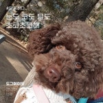 주식회사 도그메이트 | 더팀스 주식회사 도그메이트 by THE TEAMS