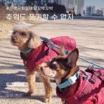 주식회사 도그메이트 | 더팀스 주식회사 도그메이트 by THE TEAMS