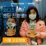 주식회사 어뮤즈트래블 | 더팀스 주식회사 어뮤즈트래블 by THE TEAMS