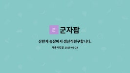 군자팜 : 산란계 농장에서 생산직원구합니다. | 더팀스 산란계 농장에서 생산직원구합니다. by 군자팜