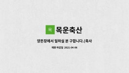 목운축산 : 양돈장에서 일하실 분 구합니다.(축사관리) | 더팀스 양돈장에서 일하실 분 구합니다.(축사관리) by 목운축산