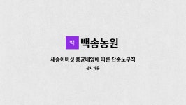 백송농원 : 새송이버섯 종균배양에 따른 단순노무직 구인 | 더팀스 새송이버섯 종균배양에 따른 단순노무직 구인 by 백송농원