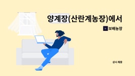 보배농장 : 양계장(산란계농장)에서 일할 사람을 구합니다. | 더팀스 양계장(산란계농장)에서 일할 사람을 구합니다. by 보배농장