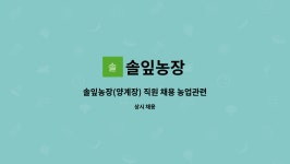 솔잎농장 : 솔잎농장(양계장) 직원 채용 농업관련 단순 업무 | 더팀스 솔잎농장(양계장) 직원 채용 농업관련 단순 업무 by 솔잎농장