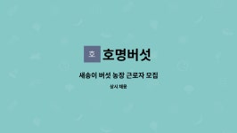 호명버섯 : 새송이 버섯 농장 근로자 모집 | 더팀스 새송이 버섯 농장 근로자 모집 by 호명버섯