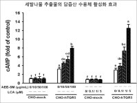 세발나물로 당뇨·비만 한 번에 잡는다 - 식품음료신문 세발나물로 당뇨·비만 한 번에 잡는다
