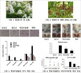 알레르기 개선 천연 건기식 소재 개발 - 식품음료신문 알레르기 개선 천연 건기식 소재 개발