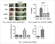 알레르기 개선 천연 건기식 소재 개발 - 식품음료신문 알레르기 개선 천연 건기식 소재 개발