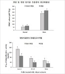 미숙 ‘청밀’ 추출물 암세포 증식 억제 - 식품음료신문 미숙 ‘청밀’ 추출물 암세포 증식 억제