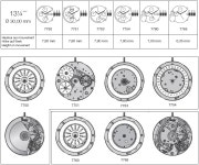 [Re:] 7750/51/53/54 vs 7760/65 - 자유게시판 - TIMEFORUM
