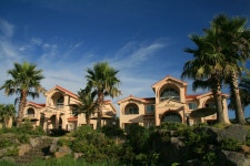 제주도 도 괜찮네요 - 자유게시판 - TIMEFORUM