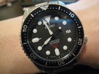 sbcm023 득템했습니다. ^^ - Japan Brand - TIMEFORUM