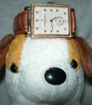 [Re:] [Re:] (펌)강아지 컬렉터 - Highend/Independent - TIMEFORUM